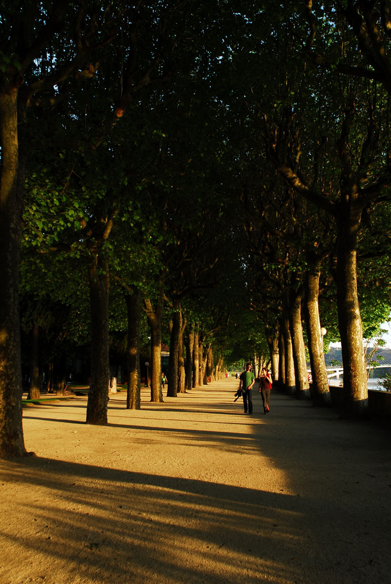 Parque Manuel Braga